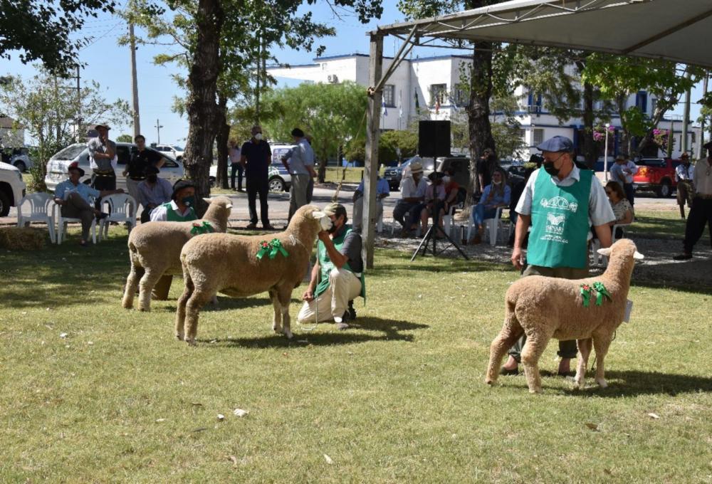Foto: Gabriel Becco/Divulgação
