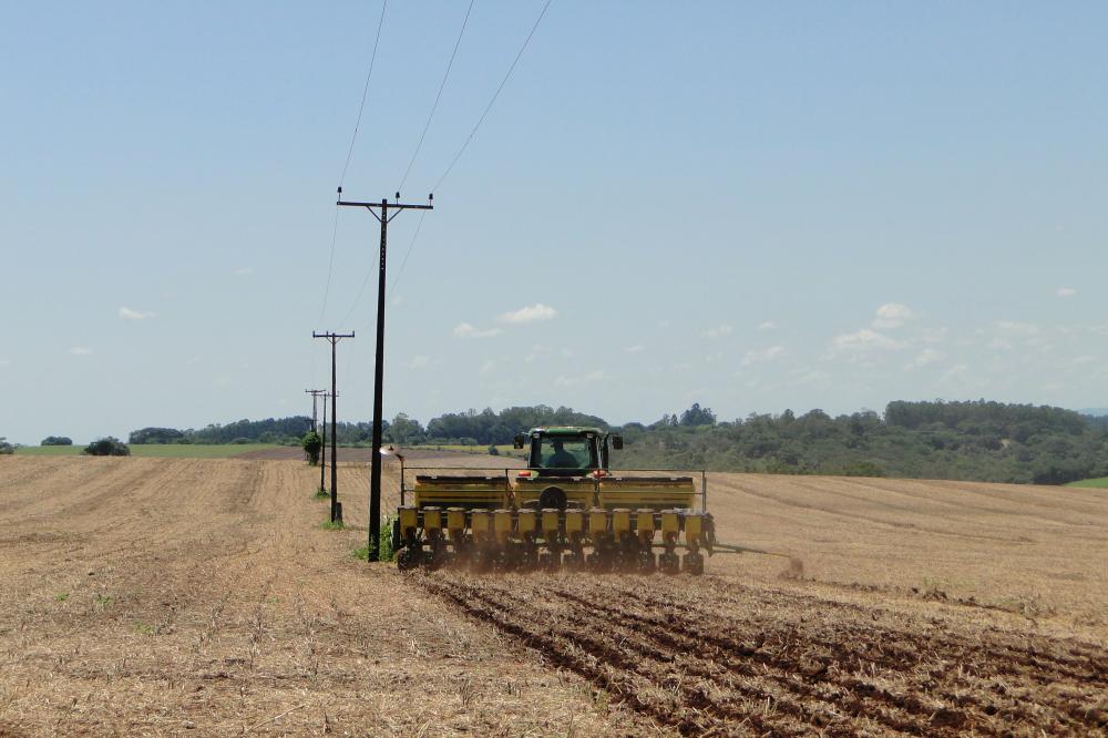 Copel e instituições parceiras realizam campanha para evitar acidentes na área rural - Foto: Copel