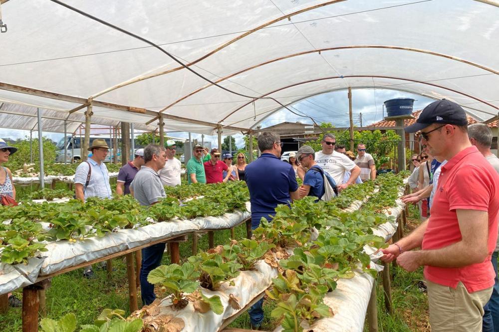 Turismo rural técnico-científico do Paraná atrai grupo de 26 produtores franceses Foto: Flauzino Oliveira/SEAB