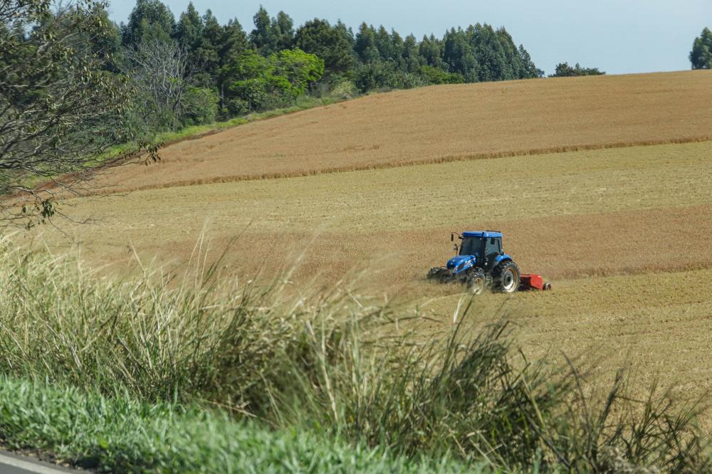 Impacto do clima na safra 2023/24 exige ajuste de preços para garantir renda ao agricultor Foto: Roberto Dziura Jr/AEN