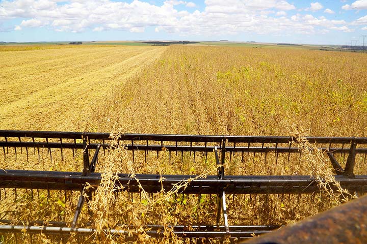 O Paraná começa a plantar a safra de grãos de verão 2020/21 mas a continuidade do clima seco, que se configurou na maior estiagem dos últimos 100 anos, segundo o Simepar, é a maior preocupação dos produtores.Foto AEN/Jaelson Lucas