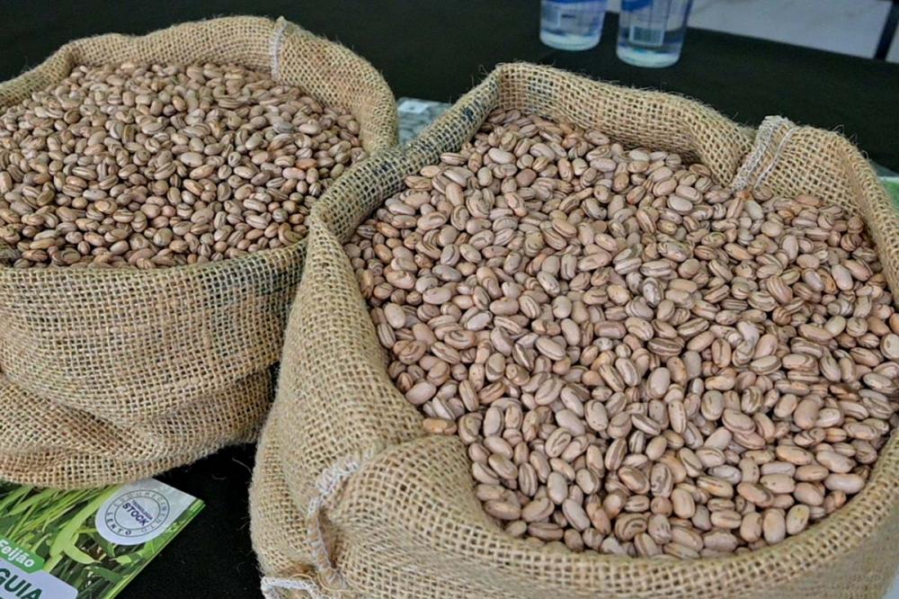 Como explicar a redução na oferta e a alta nos preços das últimas safras. Foto Toninho Anhaia