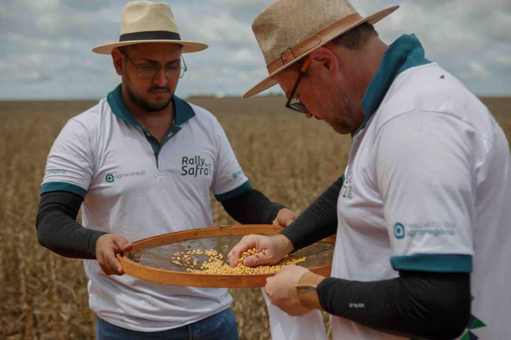 Técnicos do Rally da Safra avaliam lavoura de soja Eduardo Monteiro / Rally da Safra