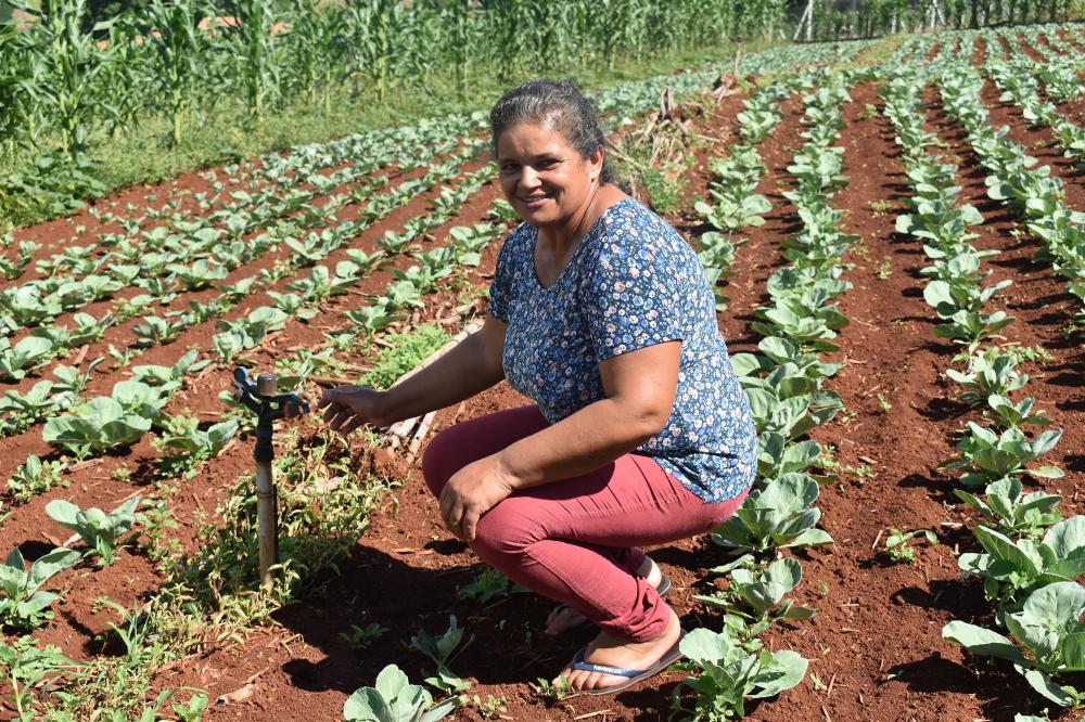 Desconto de energia para irrigação noturna beneficia 4 mil famílias de produtores rurais - Na foto, Valdevina Aparecida Rodrigues Foto: Copel