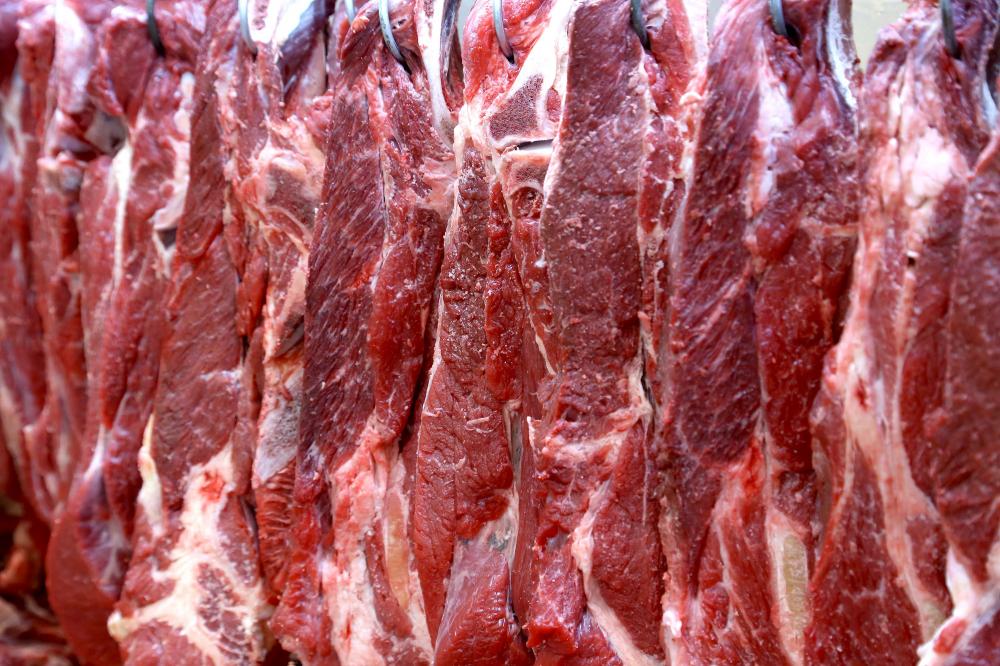 Paraná recebe autorização para exportar carne bovina ao Canadá Foto: Jaelson Lucas/Arquivo AEN