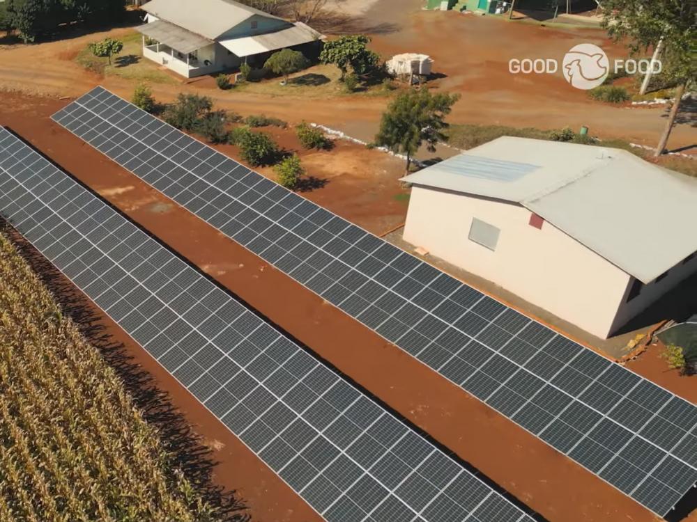 Empresas de aves intensificam busca por mais fontes de energias renováveis, aponta pesquisa da Empresas de aves intensificam busca por mais fontes de energias renováveis, aponta pesquisa da ABPA. FOTO DIVULGAÇÃO