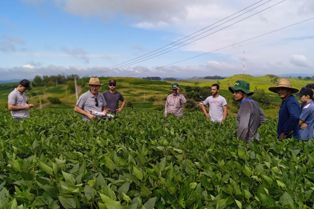 Soja orgânica aumenta o rendimento de produtores de Jardim Alegre Foto: IDR-PR