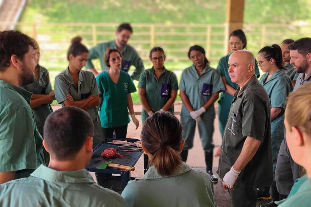 Adapar reforça defesa agropecuária com ações de combate à brucelose e tuberculose Foto: Adapar