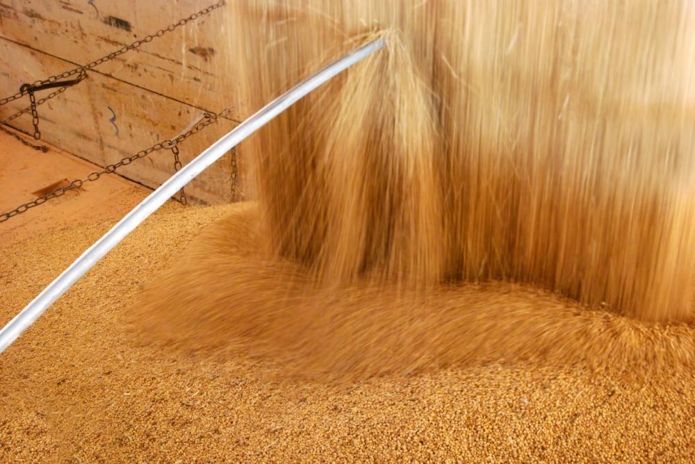 Mesmo 2024 sendo um ano de muitos desafios, ORÍGEO reforça atuação na região para estar ainda mais próxima dos produtores e contribuir para vencer as adversidades e buscar melhor produtividade e sustentabilidade para os agricultores. 