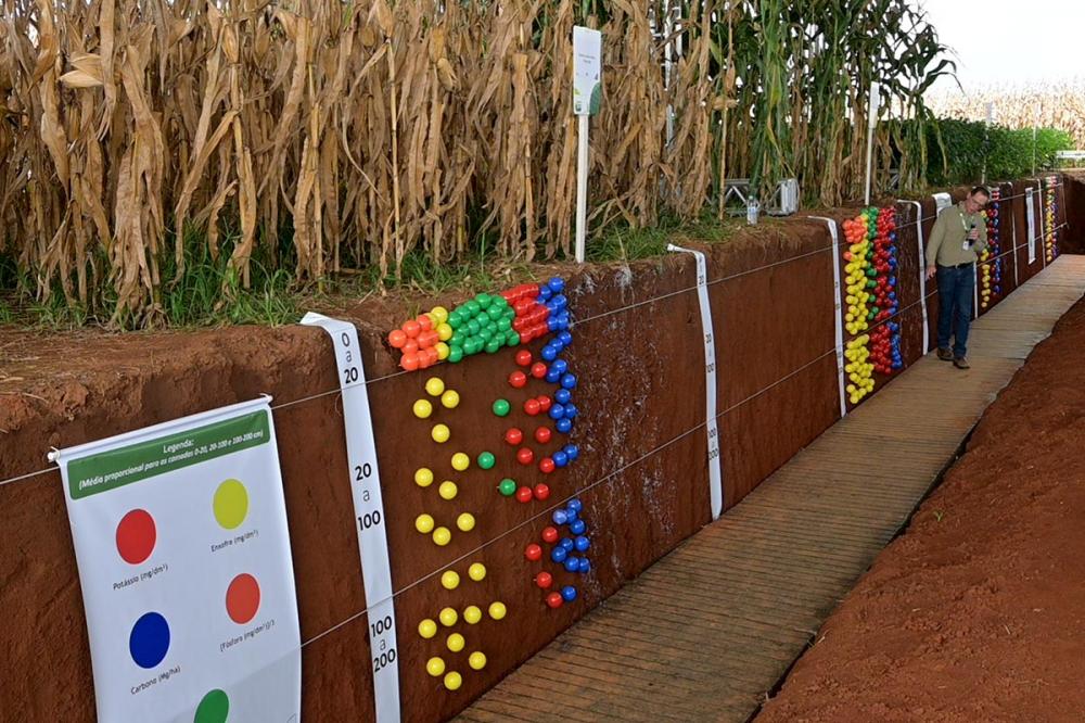 Impactos dos sistemas de produção, Rentabilidade, Saúde do solo, experimento de 35 anos, Show Tecnológico de Verão, Fundação ABC, Inovações, Agronegócio. Foto Toninho Anhaia.