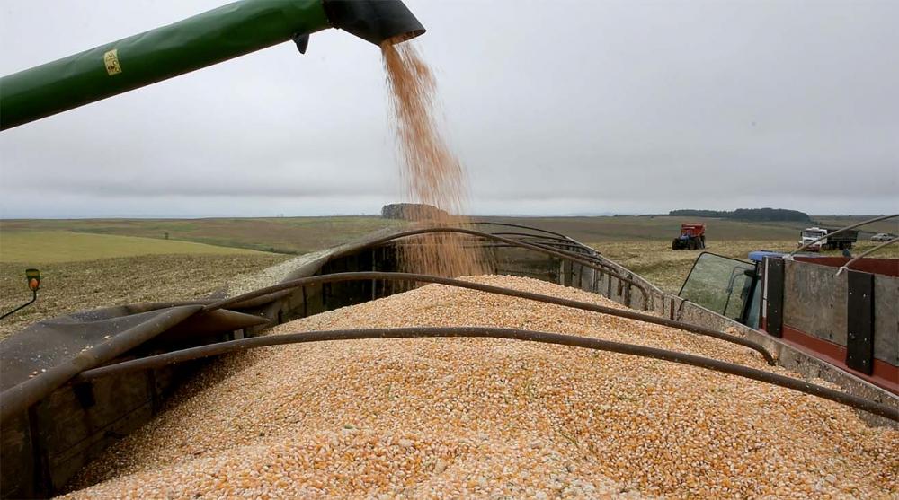 A seguradora FF Seguros registrou crescimento de 23% dos produtos de seguro patrimonial e de penhor rural e tem previsão otimista para o setor em 2024. Foto Toninho Anhaia