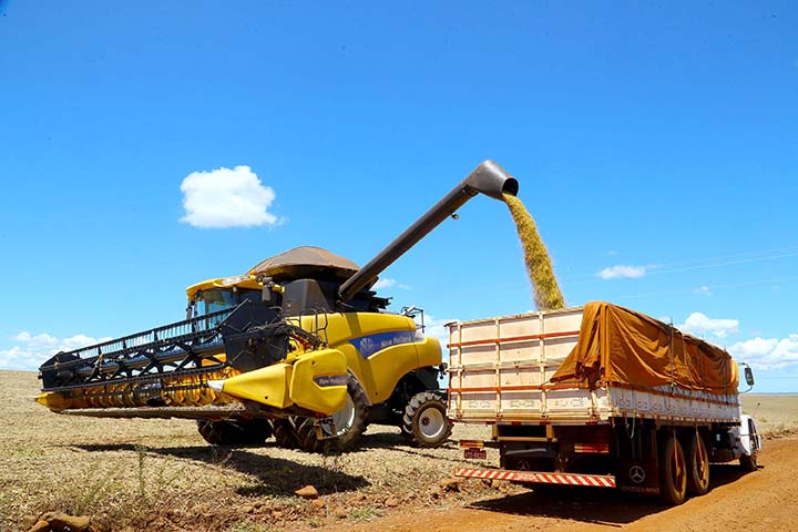 Neste ano, o VBP já alcançou a marca de R$ 97,5 bilhões. Mesmo com essa boa expectativa, os produtores devem ter cautela porque em algum momento a ressaca virá, alertou Ortigara. Foto AEN.