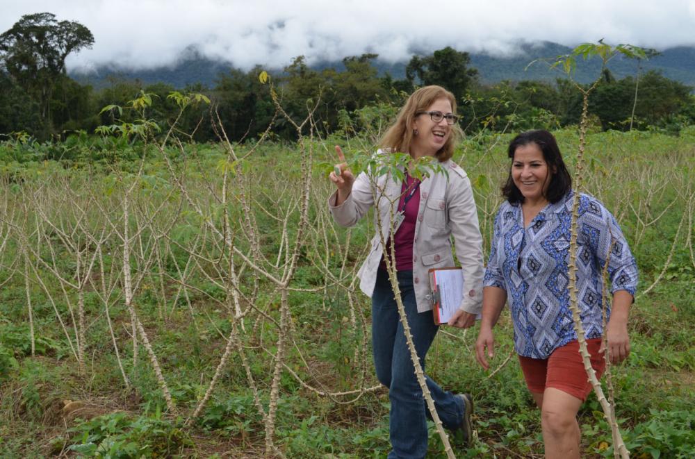 Do veto a calças a cargos de direção: mulheres da extensão rural viveram de tudo no campo Foto: IDR