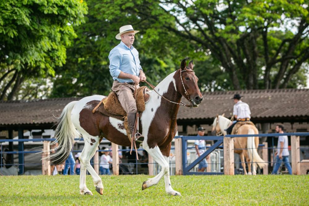 “Essa lei vai além do reconhecimento da importância histórica e cultural de uma raça, da única raça equina selecionada, nativa do estado do Paraná. É uma espécie de gérmen de um paranismo.