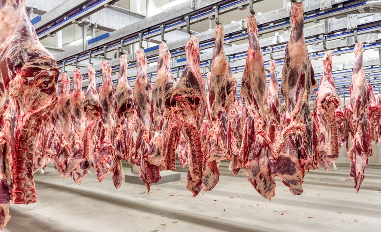 Mais 38 frigoríficos brasileiros podem exportar carnes para a China. foto Mapa