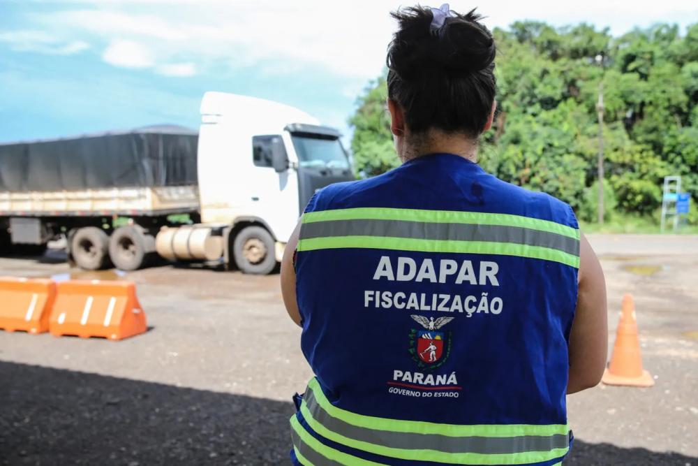 Prova do concurso da Adapar acontece neste domingo em seis cidades do Paraná Foto: Geraldo Bubniak/AEN