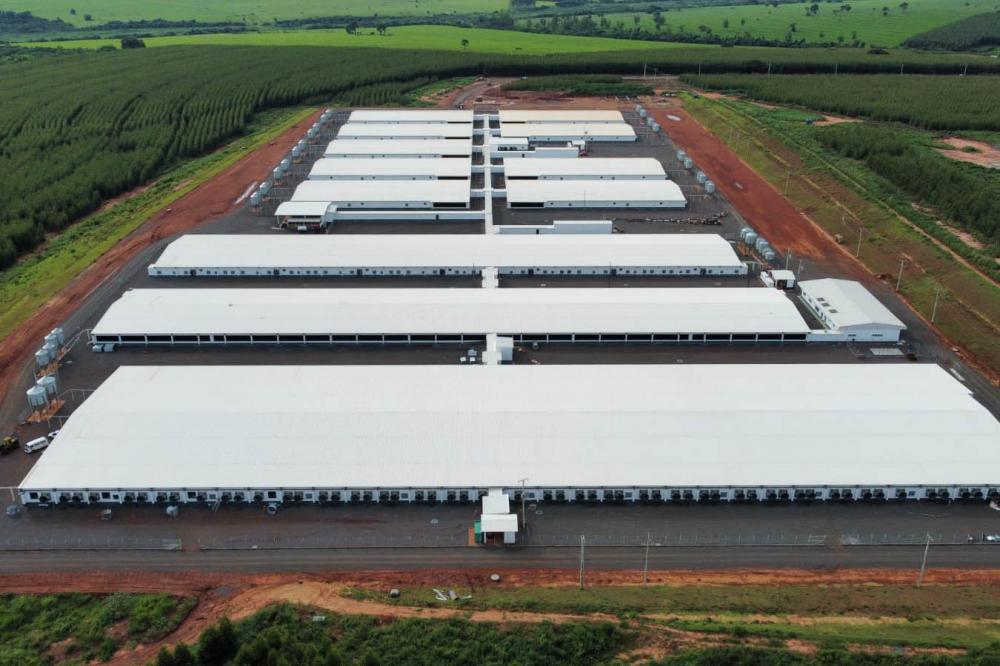 Maior núcleo genético de suínos da América, granja de Paranavaí inicia comercialização em abril Foto: Divulgaçaõ/Agroceres