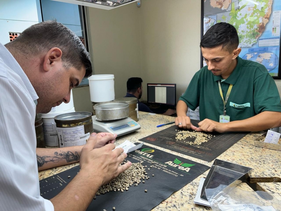 Salto da comercialização para outros países se deu após uma longa caminhada de estudos e investimentos. Meta para este ano é abranger a exportação para os Estados Unidos, Canadá e Ásia. Foto Capal