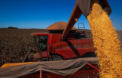 Agronegócio brasileiro defende simplificação dos impostos e garantia do direito de propriedade Foto: Wenderson Araujo/CNA