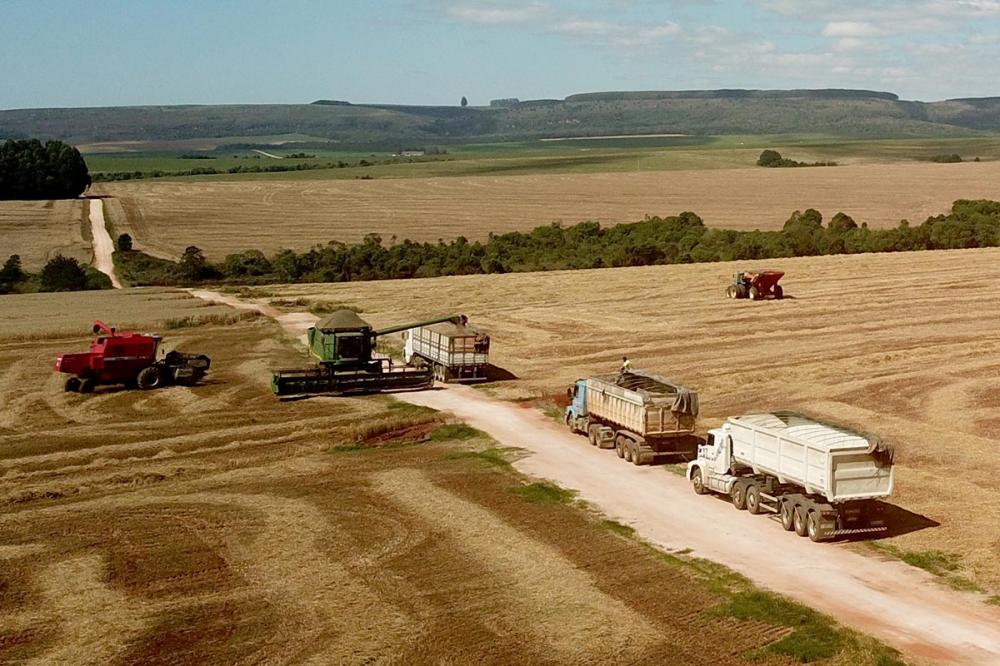 Agropecuária impulsiona PIB do Paraná, que cresce o dobro da média nacional em 2023. Foto Toninho Anhaia