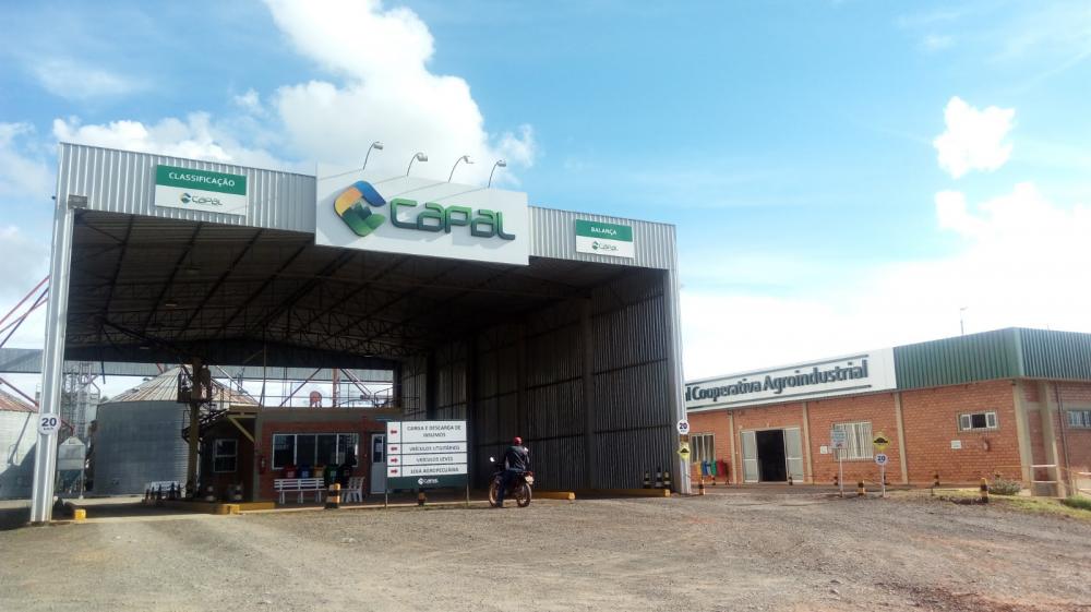 A região é referência na produção de soja, milho, trigo, aveia e cevada, impulsionando a economia local e alimentando o Brasil. A unidade de Curiúva atende 4 municípios, expandindo seu impacto regional.