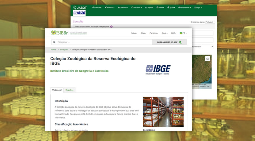 Site dedicado às coleções biológicas do IBGE permitirá que mais pessoas tenham acesso ao acervo do instituto