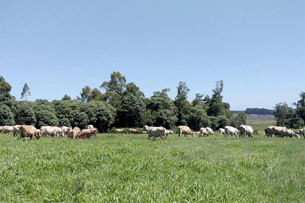 Mês de Abril promete temperaturas acima da média.