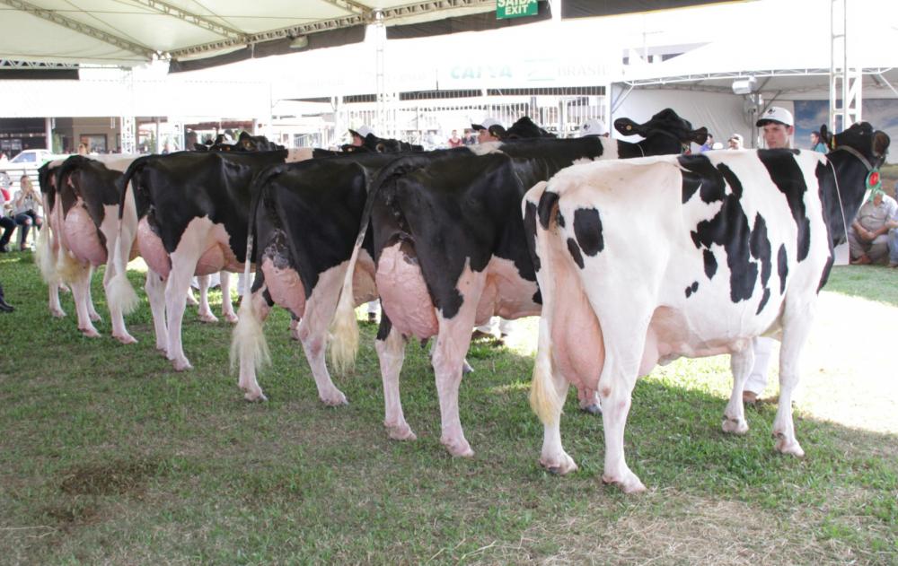 Foto: JM Alvarenga/Divulgação