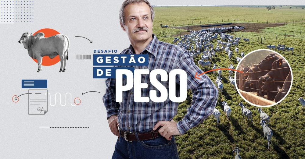 Pecuária sustentável e produtiva não é uma questão de tamanho e sim da vontade do pecuarista de mudar