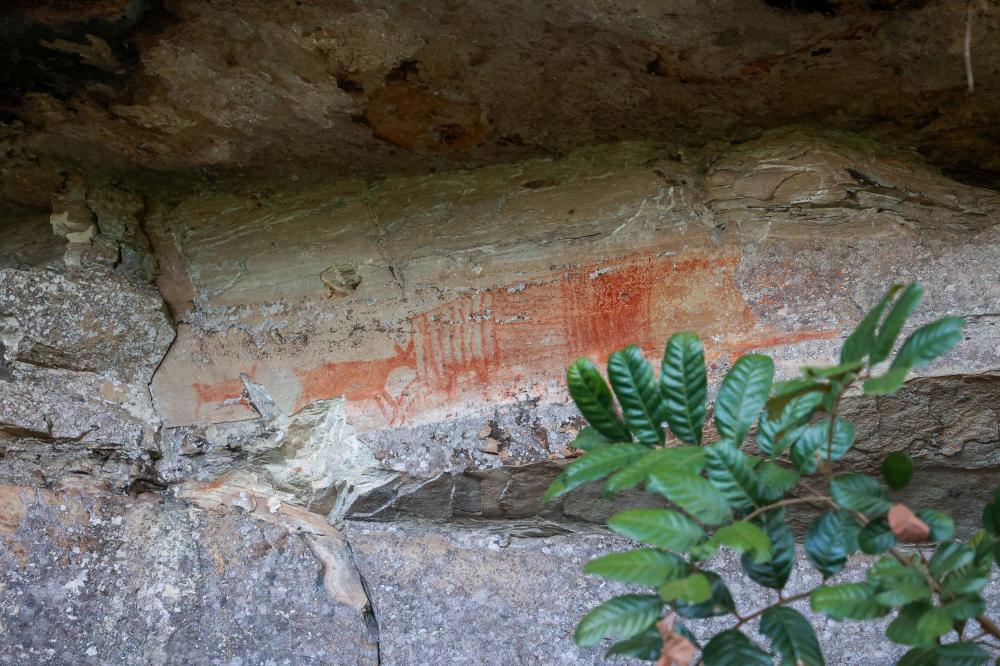 Cervos, araucárias e humanos: a pré-história do Paraná está nas paredes de Piraí do Sul Foto: Valdelino Pontes/SECID