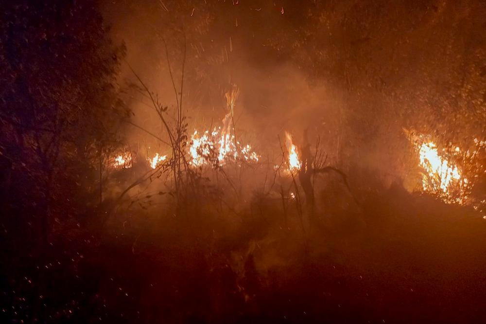 Período mais seco: IAT faz alerta sobre incêndios nas Unidades de Conservação do Paraná Foto: IAT