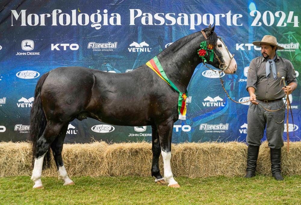 RE Saturno TE - Crédito Fagner Almeida Divulgação