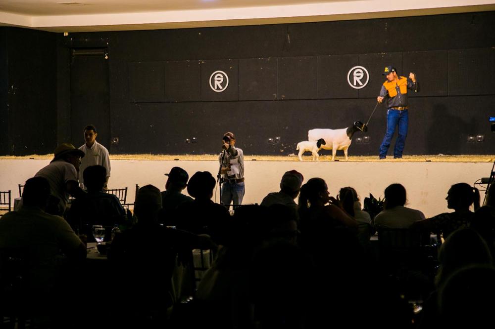 Entre os animais leiloados, alguns já haviam sido premiados na Expolondrina e em outras feiras agropecuárias.