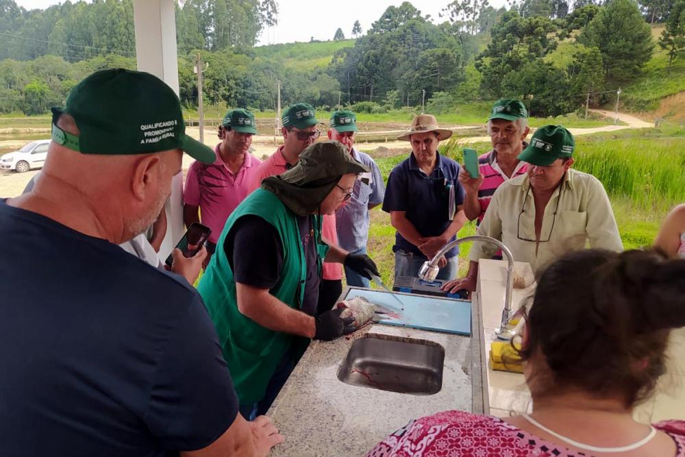 A iniciativa é resultado de parceria entre a Prefeitura de Castro, por meio da Secretaria Municipal de Agricultura, Sindicato Rural de Castro e Sistema Faep/Senar-PR.