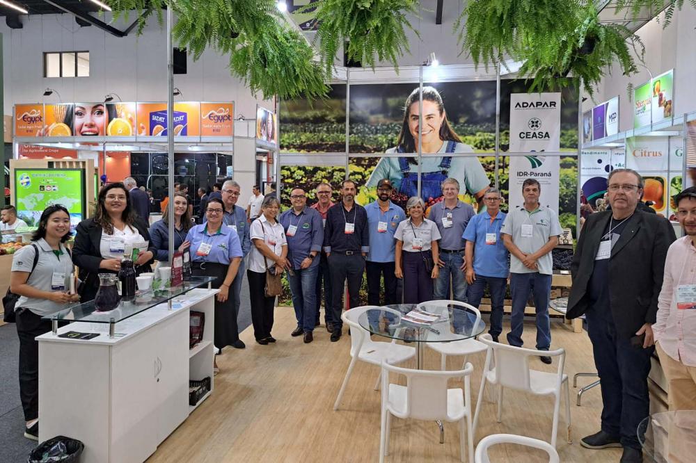 Seagri e cooperativas da agricultura familiar participam de feira internacional de frutas Foto: Ceasa