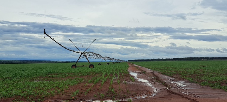 A criação de um polo de irrigação no estado, se tornará o 13º do País. A seleção prévia passa pela avaliação do MIDR, com base em requisitos como: expansão ou de aumento de produtividade eficiente na região (Foto/divulgação)