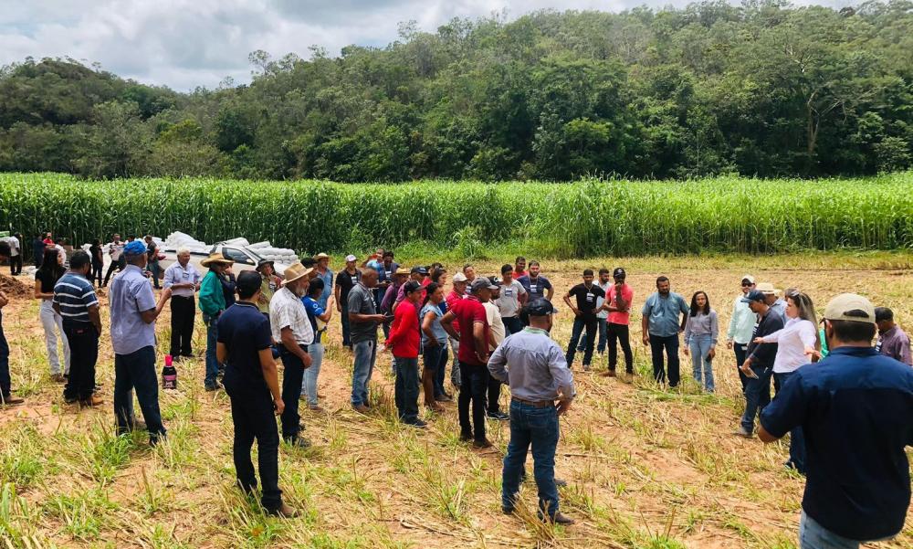 Produtores em visita à Fazenda Campeira. Ao fundo área cultivada com Sorgão Gigante (Foto: Railton de Azevedo Rocha)