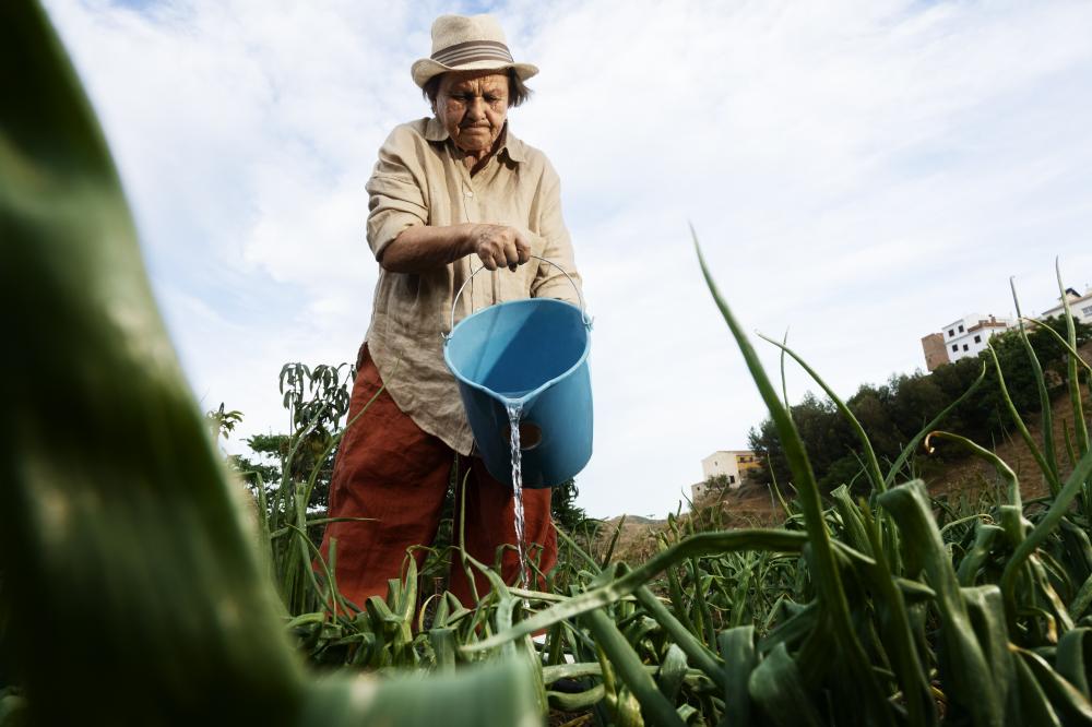Recursos do Garantia-Safra beneficiam agricultores de 10 estados. Foto: Freepik