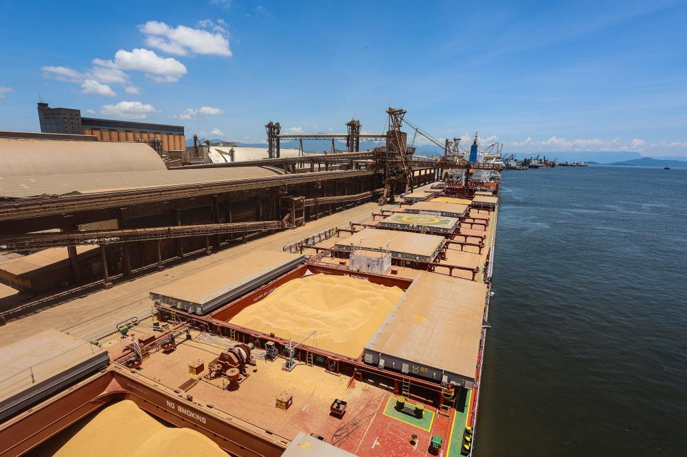 91,8% da soja movimentada no sentido exportação em Paranaguá tem a China como destino Foto: Rodrigo Félix Leal/SEIL-PR