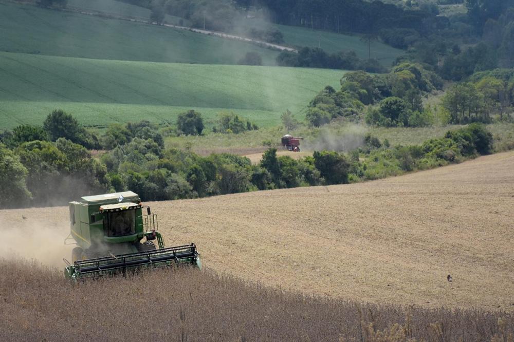 Atualmente, o Brasil possui uma comercialização de soja em 45% do total de sua produção. Foto Toninho Anhaia