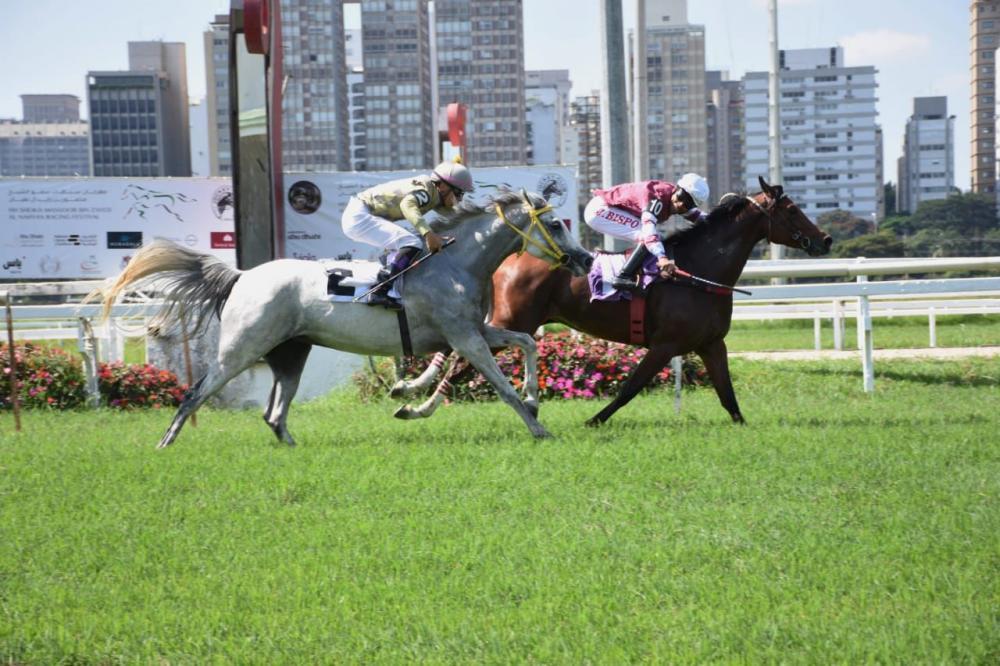 A égua RG Kalifa garantiu a vitória nos 1.200 metros da pista de grama do Jockey Club de São Paulo