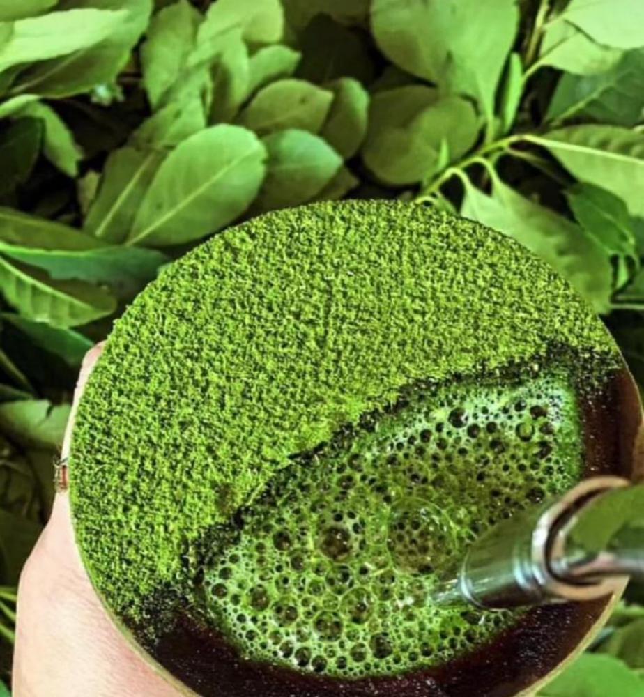 Sindimate-RS apoia campanha nas escolas para valorizar a qualidade nutricional do chimarrão e incentivar os consumidores do futuro