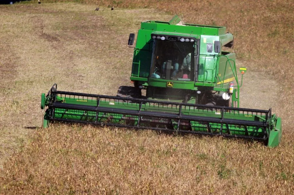 Paraná inicia colheita da segunda safra com perspectiva de recorde na produção de feijão Foto: Gilson Abreu/AEN
