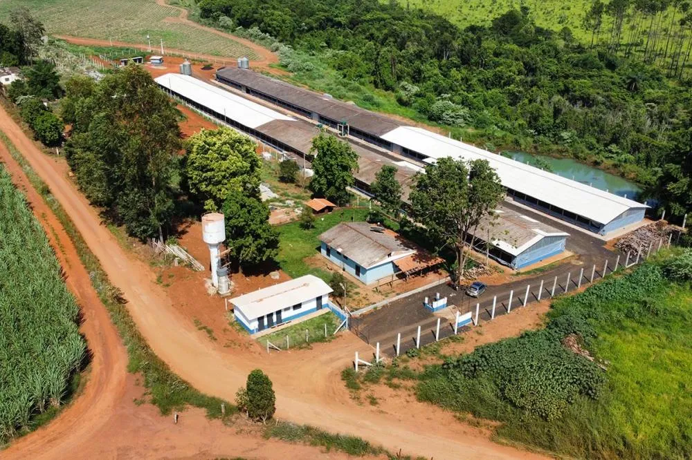 Mais de R$ 42 bilhões já foram repassados aos produtores rurais nos primeiros meses do Plano Safra 2023/2024 pelo Sicredi Crédito: Divulgação/Sicredi
