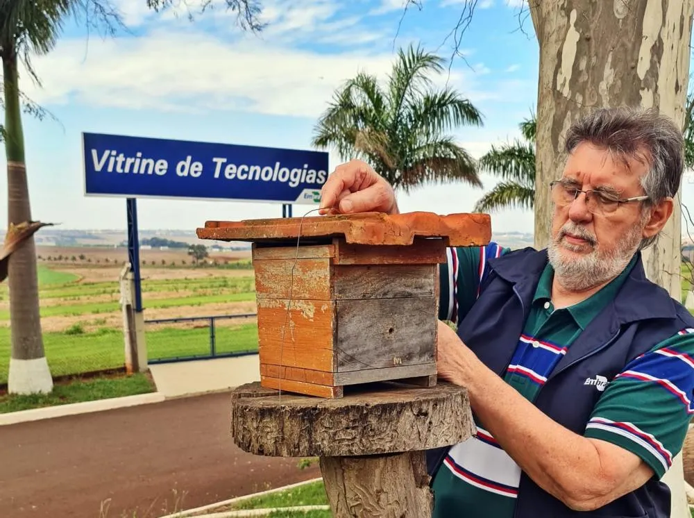 A conclusão foi apontada em estudo realizado pelo engenheiro agrônomo Décio Gazzoni, membro fundador do CESB e pesquisador da Embrapa.
