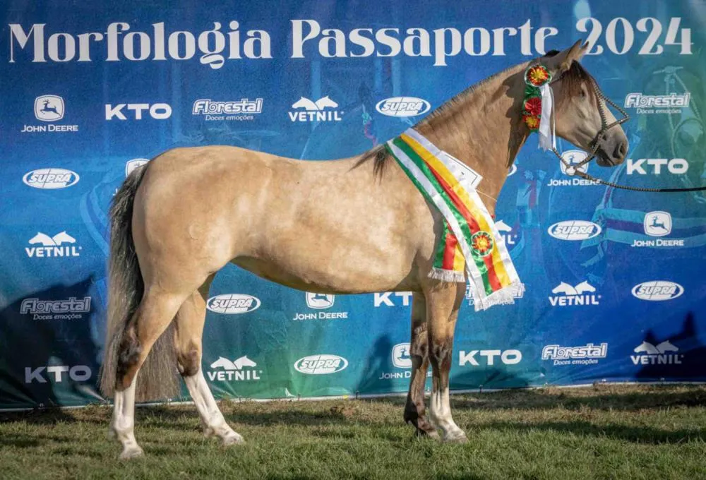 Ágata Jóia Boa - Crédito Fagner Almeida Divulgação
