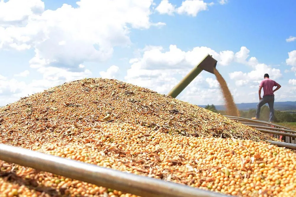 Período de chuvas no início do ano ajudou na recuperação de 0,9% na produção de soja observada em abril. Foto Toninho Anhaia