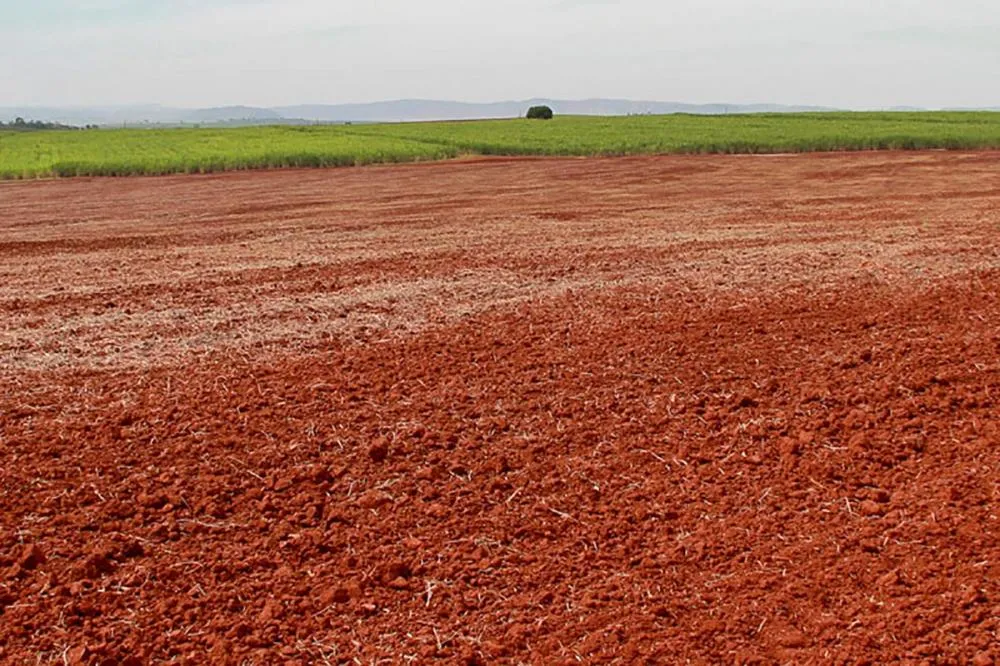 Sistema FAEP/SENAR-PR participou da elaboração da portaria, que unificou os calendários e ampliou para 120 corridos a semeadura para todas as regiões do Paraná. Foto Faep