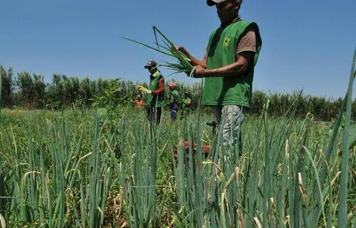 Foto: Valter Campanato/Agência Brasil