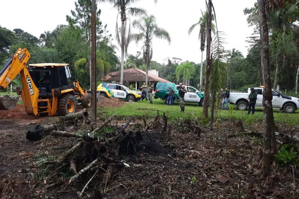 Paraná reduziu desmatamento em 78% em 2023, aponta Fundação SOS Mata Atlântica Foto: IAT-PR